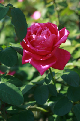 2011.10.30-013.jpg