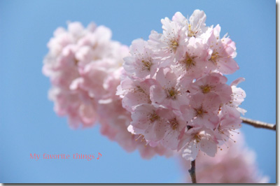 2012.03.29-018.jpg
