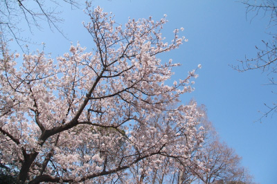 2012.03.29-025.jpg