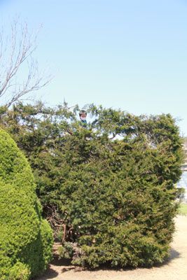 2012.03.29-037.jpg