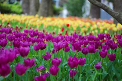 2012.04.28-085.jpg