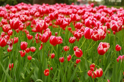 2012.04.28-090.jpg