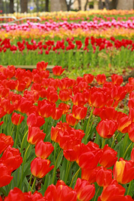 2012.04.28-093.jpg