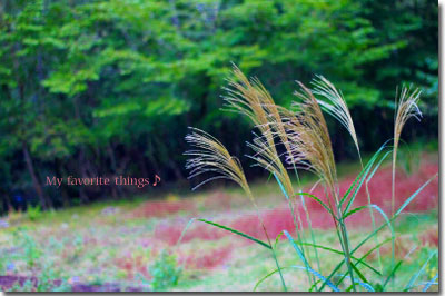 2012.10.06-0240.jpg