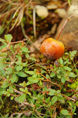 2012.10.06-093.jpg