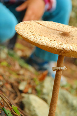 2012.10.06-117.jpg