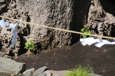 2013.05.03-001.jpg
