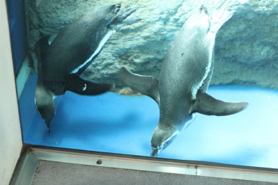 2013.07.27-063.jpg