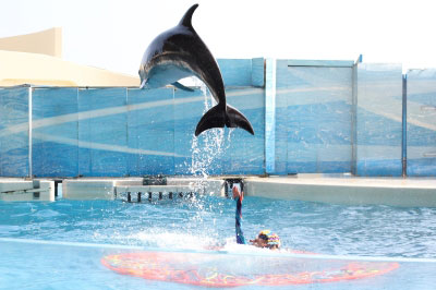 2013.07.27-099.jpg