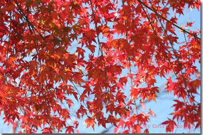 2013.11.24-413.jpg
