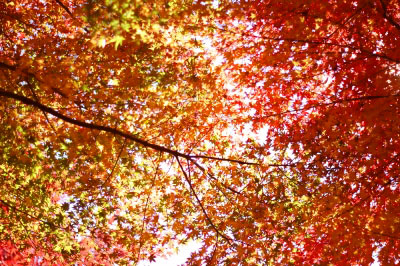 2013.11.24-465.jpg