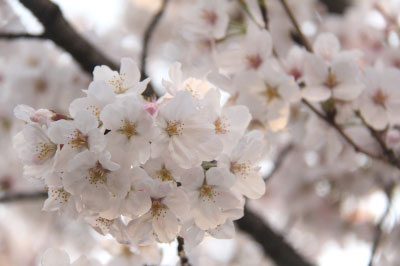 2014.03-430.jpg