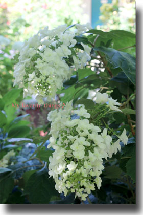 2014.06.15-127.jpg