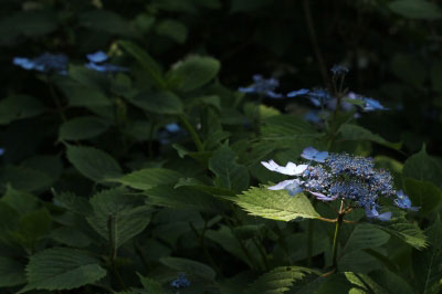 2014.06.15-139.jpg