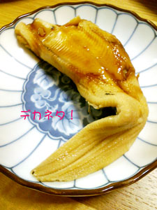 K3200038.jpg